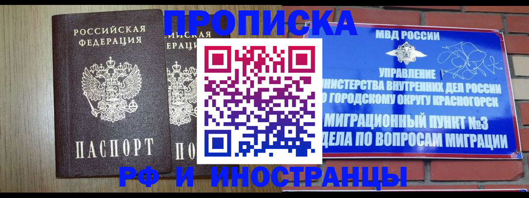 прописка в квартире в Палласовке